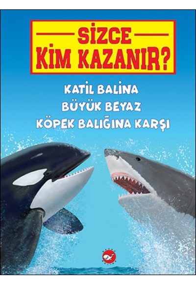 Sizce Kim Kazanır? Katil Balina Büyük Beyaz Köpek Balığına Karşı