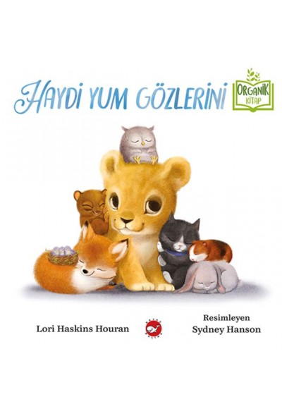 Haydi Yum Gözlerini