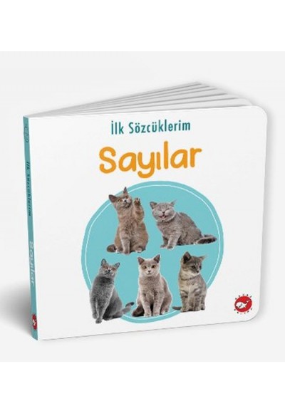 İlk Sözcüklerim - Sayılar