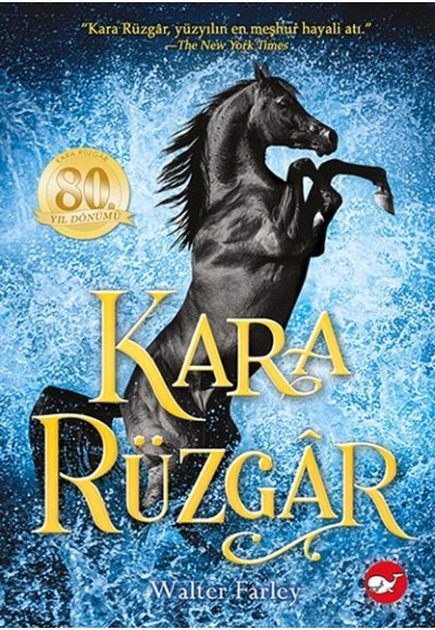 Kara Rüzgar