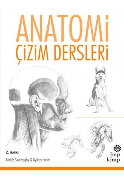 Anatomi Çizim Dersleri