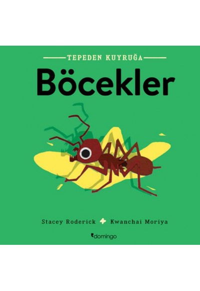 Tepeden Kuyruğa - Böcekler