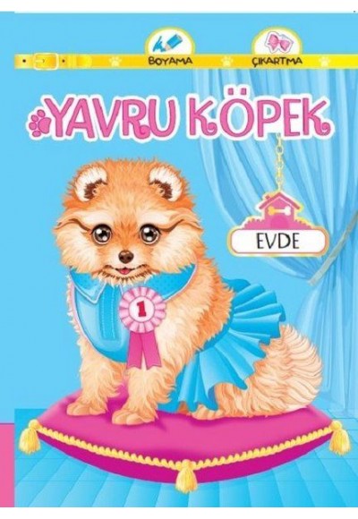 Yavru Köpek Evde