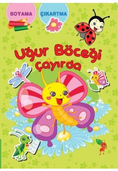 Uğur Böceği Çayırda
