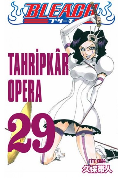 Bleach 29. Cilt