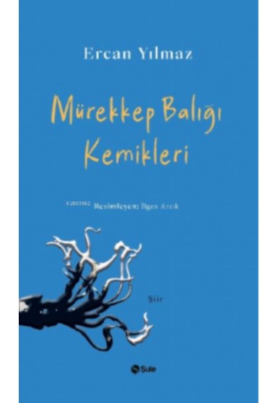 Mürekkep Balığı Kemikleri