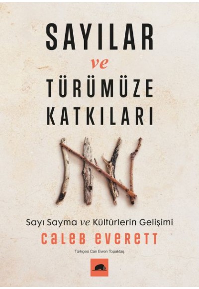 Sayılar ve Türümüze Katkıları