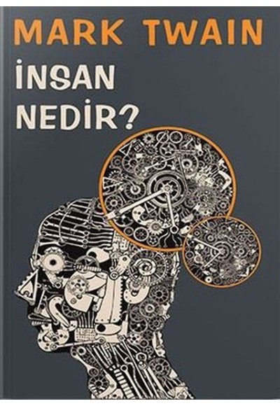 İnsan Nedir?