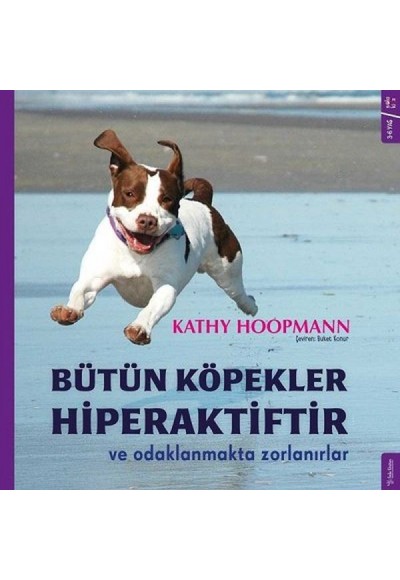 Bütün Köpekler Hiperaktiftir ve Odaklanmakta Zorlanırlar