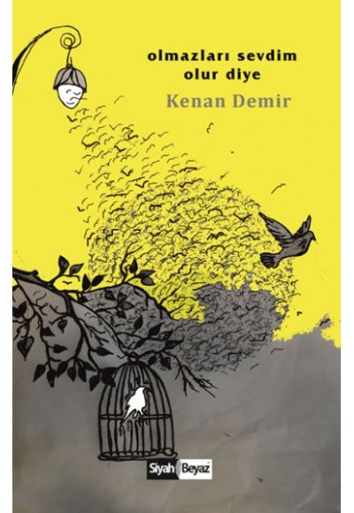 Olmazları Sevdim Olur Diye