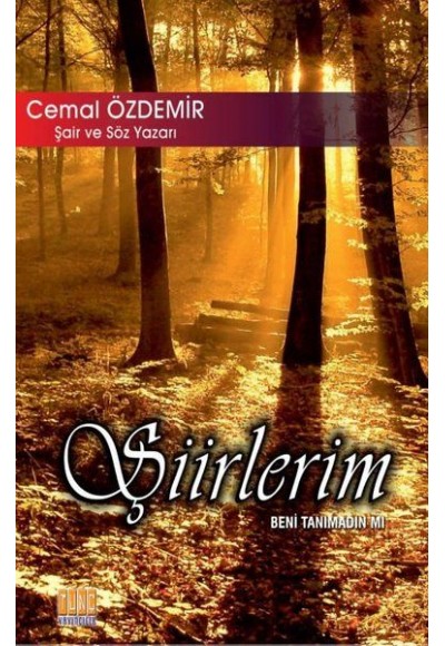 Şiirlerim - Beni Tanımadın mı