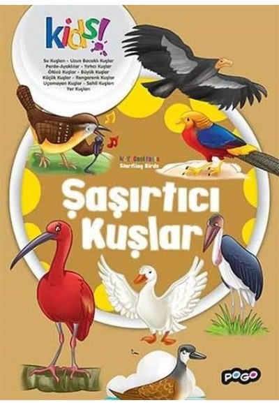 Şaşırtıcı Kuşlar