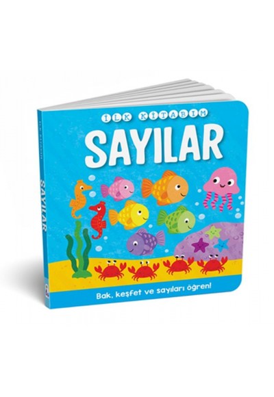İlk Kitabım - Sayılar