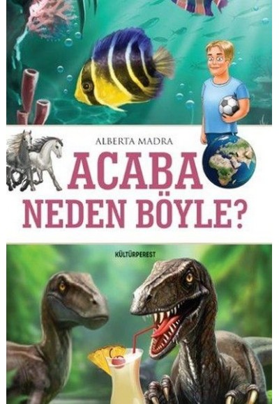 Acaba Neden Böyle?