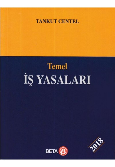 Temel İş Yasaları