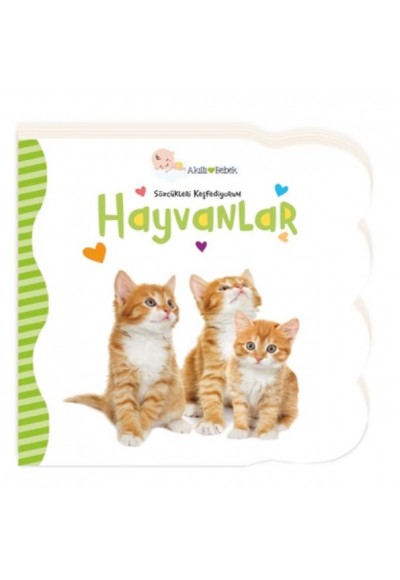Hayvanlar - Sözcükleri Keşfediyorum