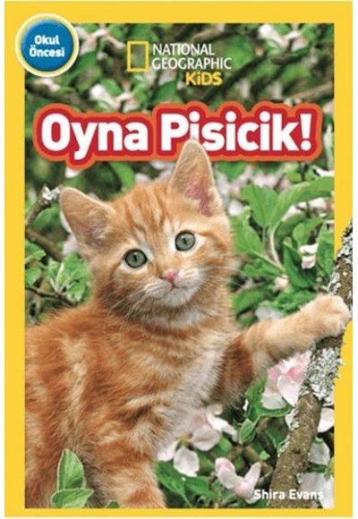 National Geographic Kids - Oyna Pisicik!