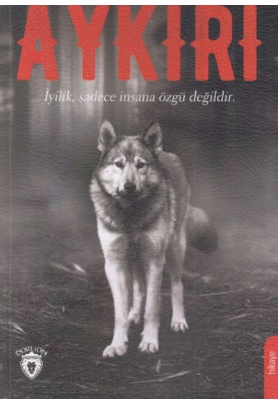 Aykırı