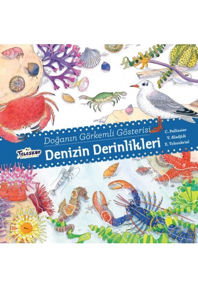 Denizin Derinlikleri - Doğanın Görkemli Gösterisi