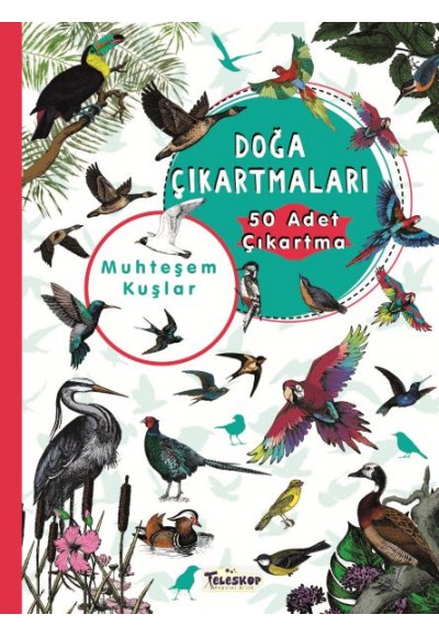 Muhteşem Kuşlar - Doğa Çıkartmaları
