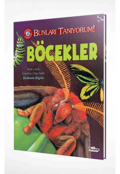 Bunları Tanıyorum! - Böcekler