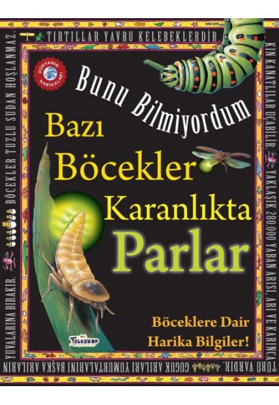 Bazı Böcekler Karanlıkta Parlar - Bunu Bilmiyordum - Böceklere Dair Harika Bilgiler!