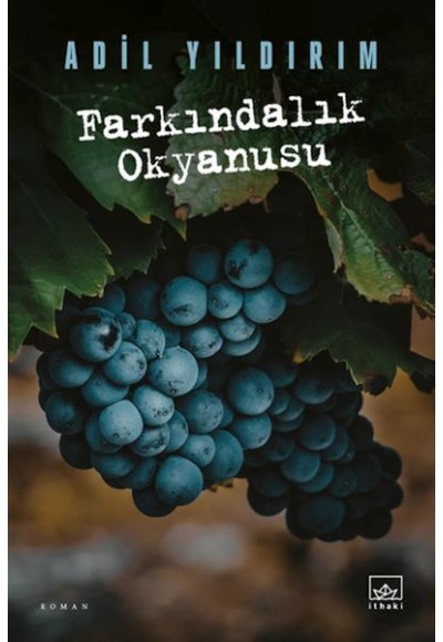 Farkındalık Okyanusu