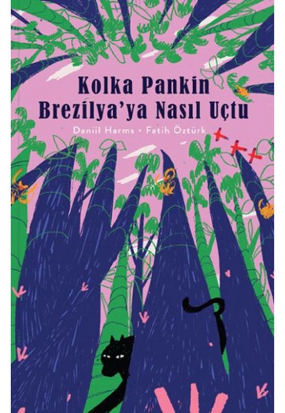 Kolka Pankin Brezilya’ya Nasıl Uçtu