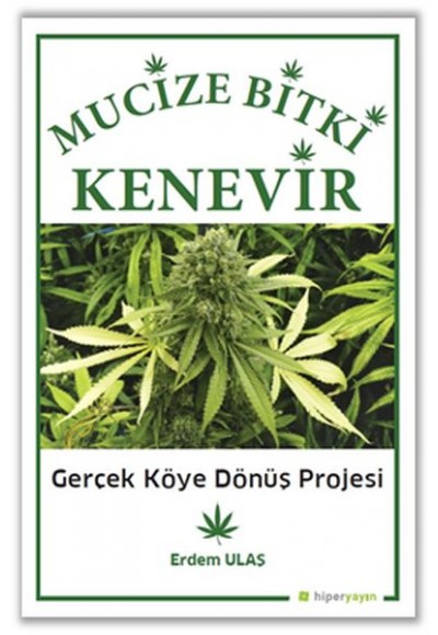 Mucize Bitki Kenevir - Gerçek Köye Dönüş Projesi