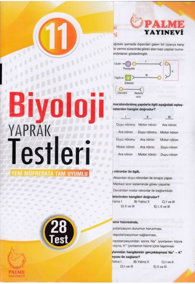 Palme 11. Sınıf Biyoloji Yaprak Test (Yeni)