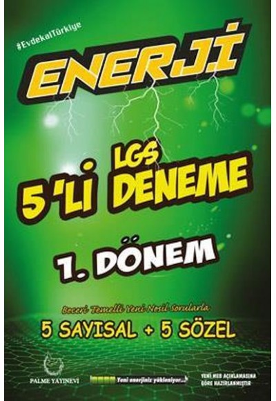 Palme Enerji LGS 1. Dönem 5'li Deneme