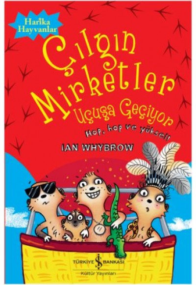 Çılgın Mirketler: Uçuşa Geçiyor
