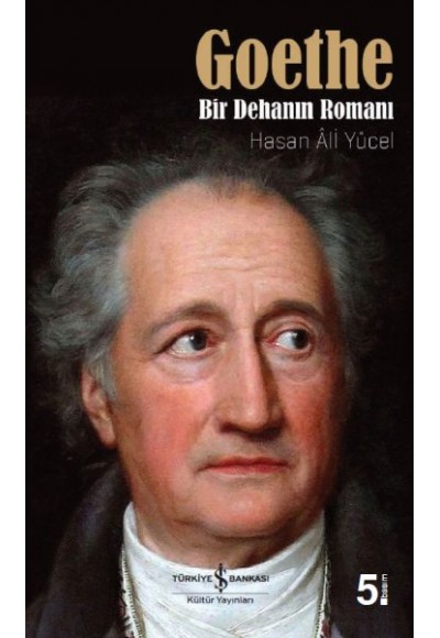 Goethe - Bir Dehanın Romanı