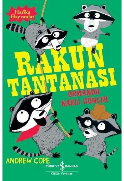 Rakun Tantanası - Ormanda Karlı Günler
