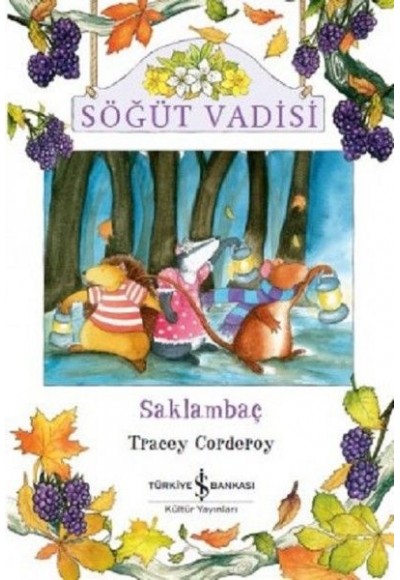 Söğüt Vadisi Saklambaç