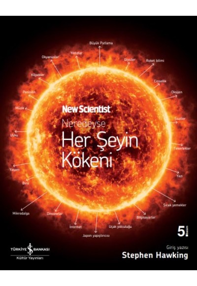 Neredeyse Her Şeyin Kökeni