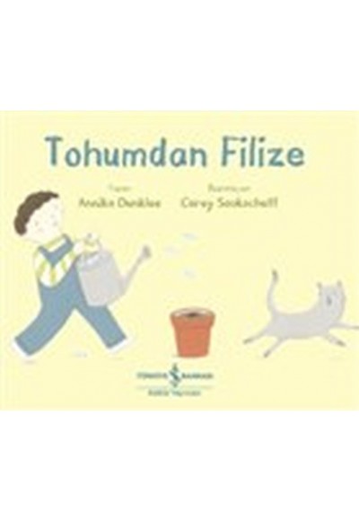 Tohumdan Filize