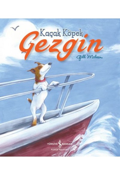 Kaçak Köpek Gezgin