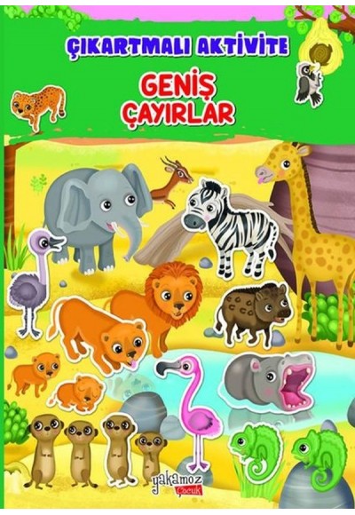 Geniş Çayırlar - Çıkartmalı Aktivite