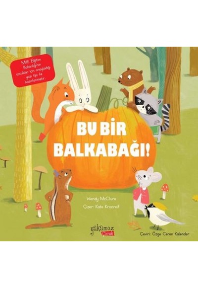 Bu Bir Balkabağı!