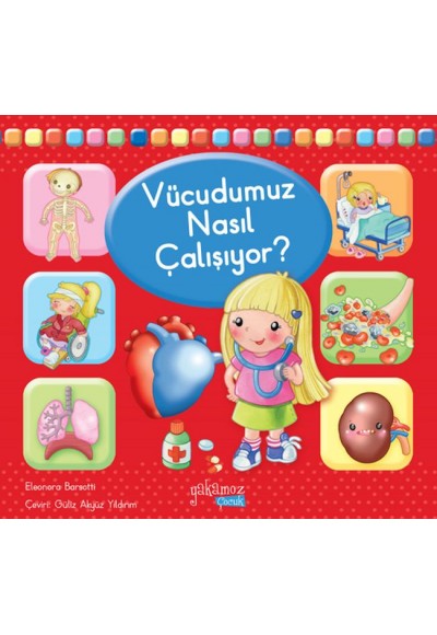 Vücudumuz Nasıl Çalışıyor?