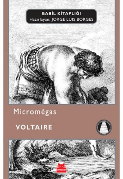 Micromegas