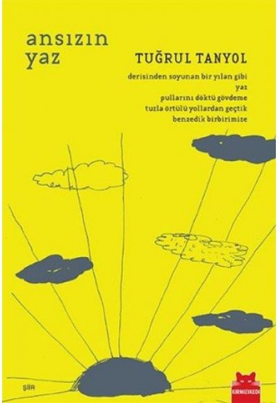 Ansızın Yaz