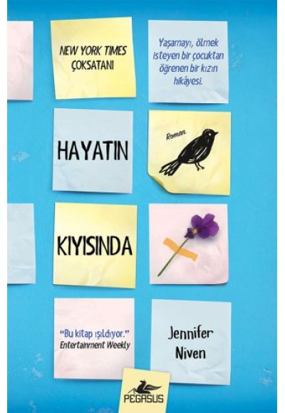 Hayatın Kıyısında (Ciltli)
