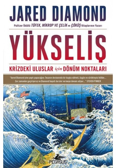 Yükseliş: Krizdeki Uluslar İçin Dönüm Noktaları - Ciltsiz