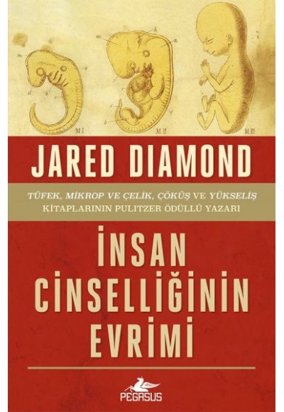 İnsan Cinselliğinin Evrimi - Ciltsiz