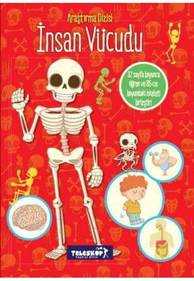 İnsan Vücudu Araştırma Dizisi