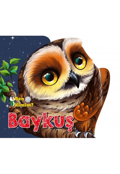 Ben Kimim? - Baykuş
