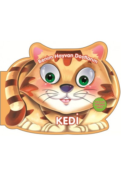 Kedi - Benim Hayvan Dostlarım (Ciltli)
