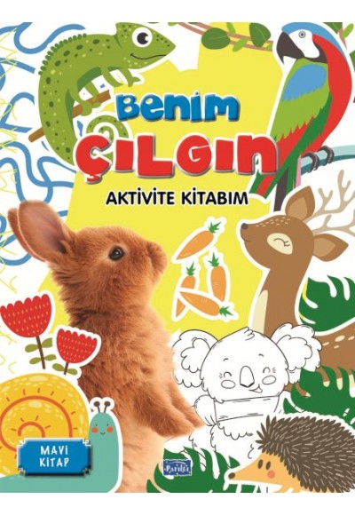 Benim Çılgın Aktivite Kitabım Mavi Kitap